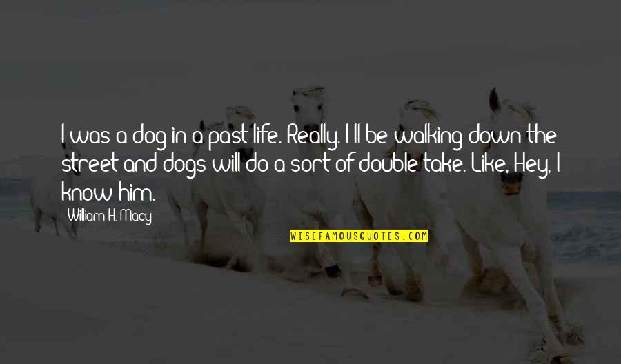 Street Life Quotes By William H. Macy: I was a dog in a past life.