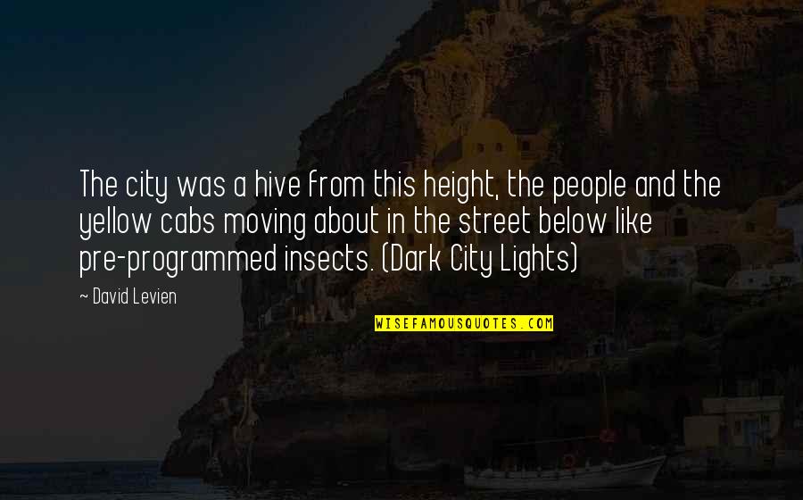 Street Lights Quotes By David Levien: The city was a hive from this height,