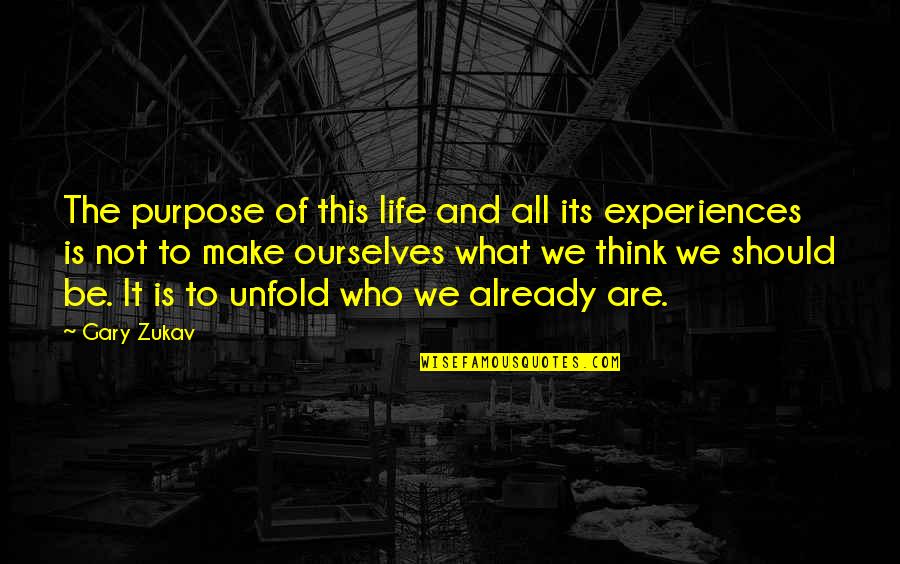 Street Lit Quotes By Gary Zukav: The purpose of this life and all its