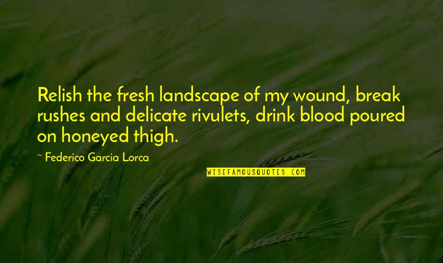 Street Magician Quotes By Federico Garcia Lorca: Relish the fresh landscape of my wound, break