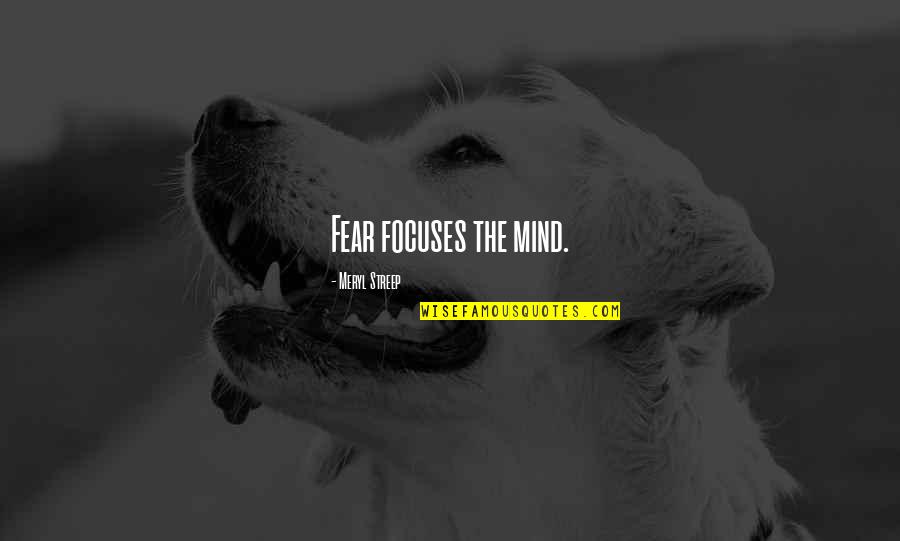 Streetlight Manifesto Best Quotes By Meryl Streep: Fear focuses the mind.