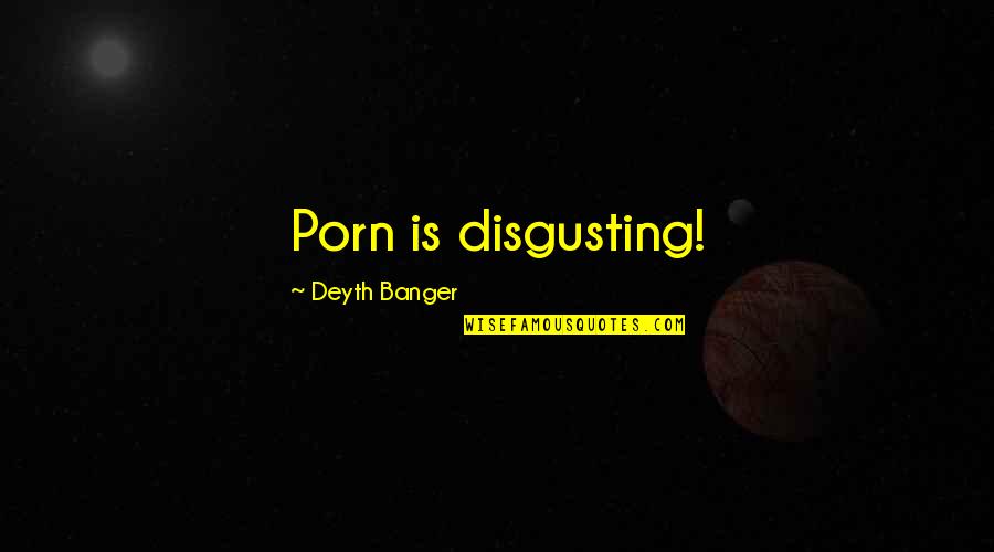 Streetscapes Signs Quotes By Deyth Banger: Porn is disgusting!