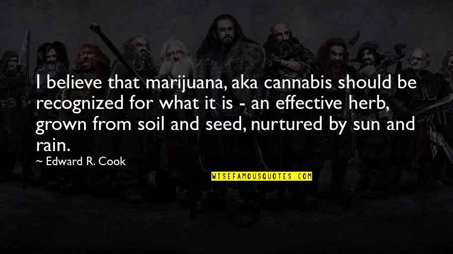 Strehlow How To Play Quotes By Edward R. Cook: I believe that marijuana, aka cannabis should be