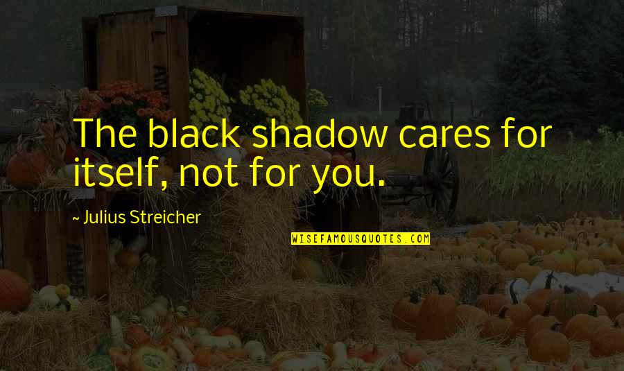 Streicher Quotes By Julius Streicher: The black shadow cares for itself, not for