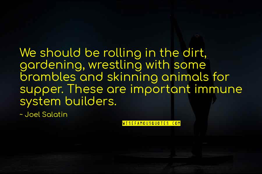 Streifeneder Orthotics Quotes By Joel Salatin: We should be rolling in the dirt, gardening,