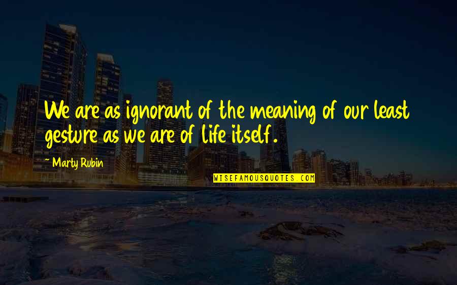Strempek Shea Quotes By Marty Rubin: We are as ignorant of the meaning of
