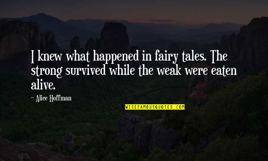 Strenghth Quotes By Alice Hoffman: I knew what happened in fairy tales. The