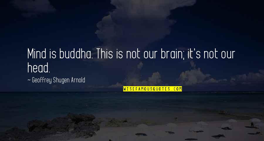 Strength And Balance Quotes By Geoffrey Shugen Arnold: Mind is buddha. This is not our brain;
