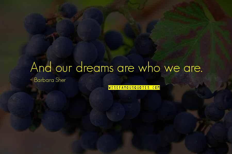 Strength And Life Tumblr Quotes By Barbara Sher: And our dreams are who we are.