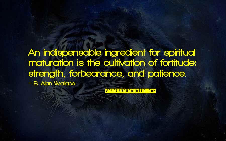 Strength And Patience Quotes By B. Alan Wallace: An indispensable ingredient for spiritual maturation is the