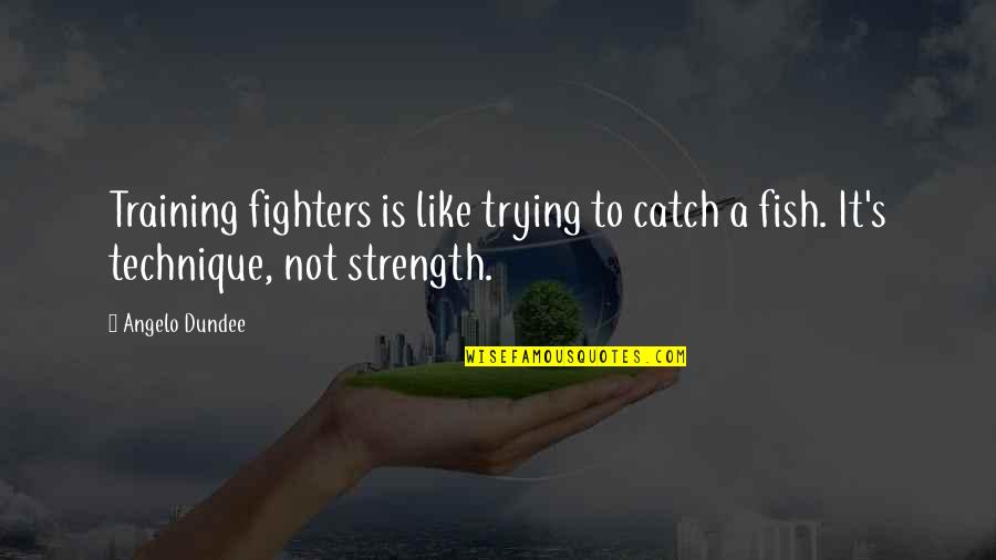 Strength And Training Quotes By Angelo Dundee: Training fighters is like trying to catch a