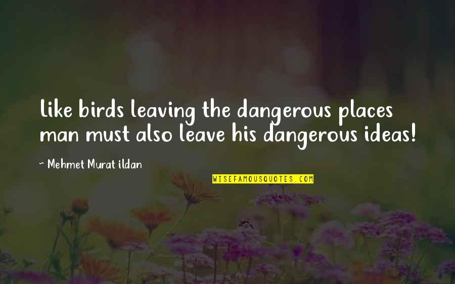 Strength Grows Quotes By Mehmet Murat Ildan: Like birds leaving the dangerous places man must