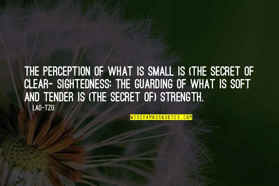 Strength Is Quotes By Lao-Tzu: The perception of what is small is (the Strength Is Quotes By Lao-Tzu: The perception of what is small is (the