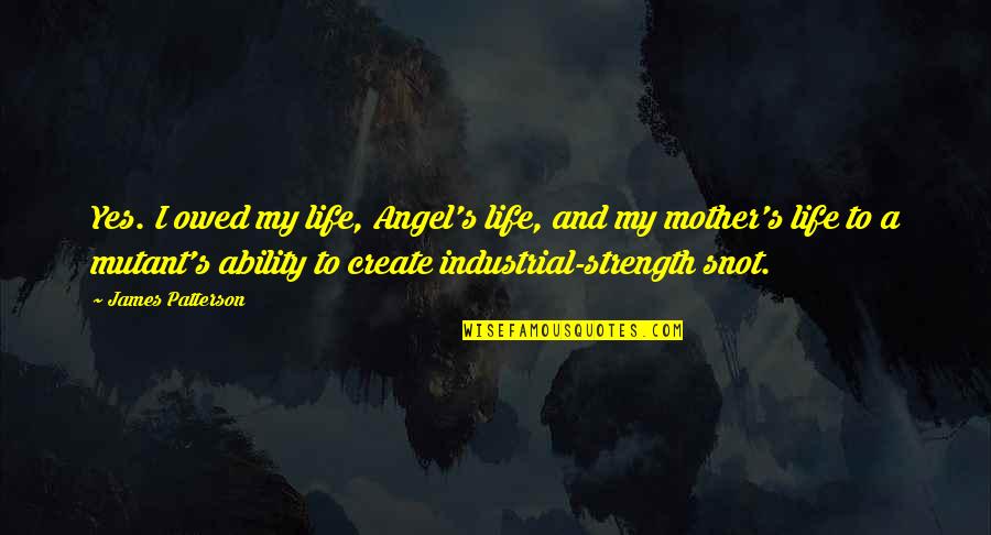 Strength Of A Mother Quotes By James Patterson: Yes. I owed my life, Angel's life, and