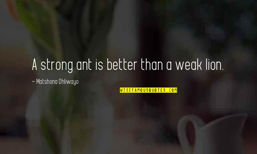 Strength Sayings And Quotes By Matshona Dhliwayo: A strong ant is better than a weak