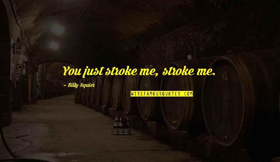 Strenko Quotes By Billy Squier: You just stroke me, stroke me.