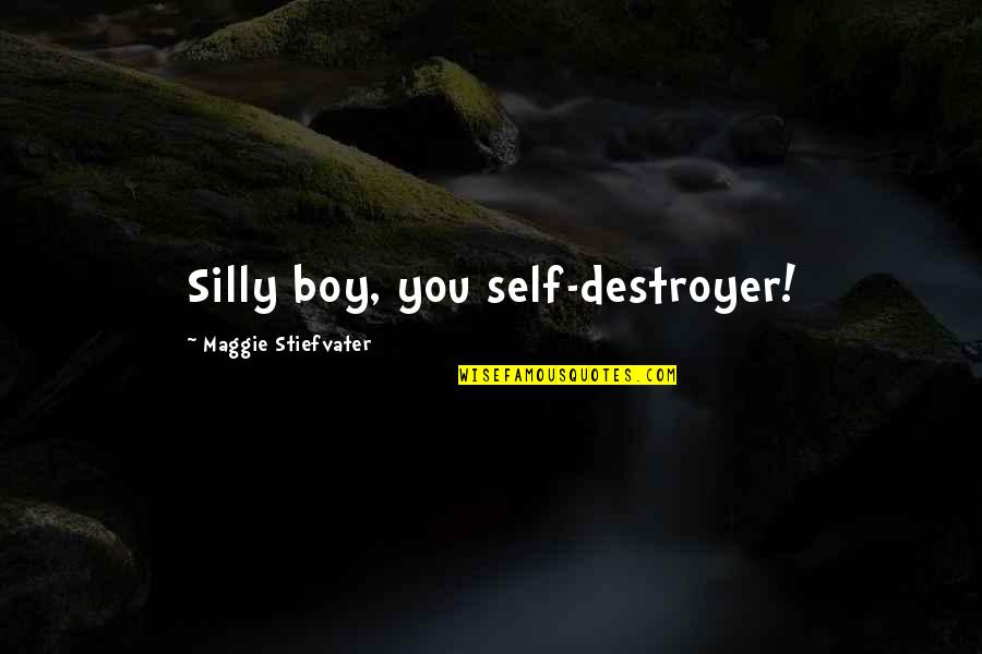 Stress And Fatigue Quotes By Maggie Stiefvater: Silly boy, you self-destroyer!