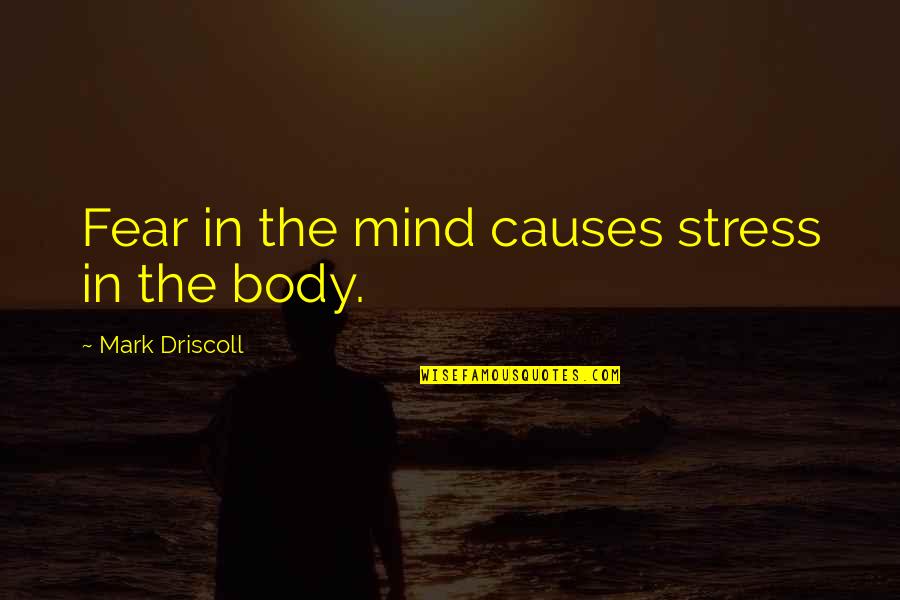 Stress Causes Quotes By Mark Driscoll: Fear in the mind causes stress in the