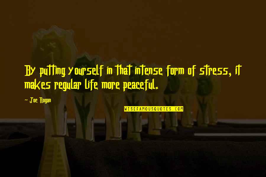 Stress In Life Quotes By Joe Rogan: By putting yourself in that intense form of