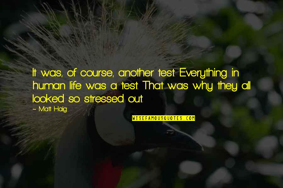 Stress In Life Quotes By Matt Haig: It was, of course, another test. Everything in