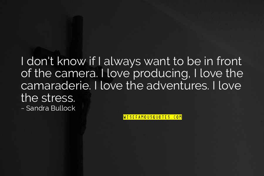 Stress Love Quotes By Sandra Bullock: I don't know if I always want to