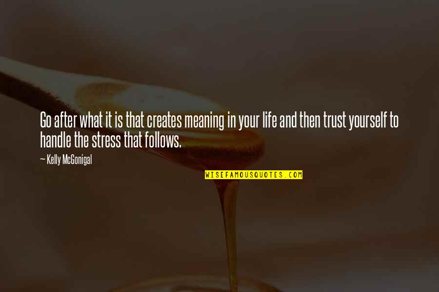 Stress Motivation Quotes By Kelly McGonigal: Go after what it is that creates meaning Stress Motivation Quotes By Kelly McGonigal: Go after what it is that creates meaning