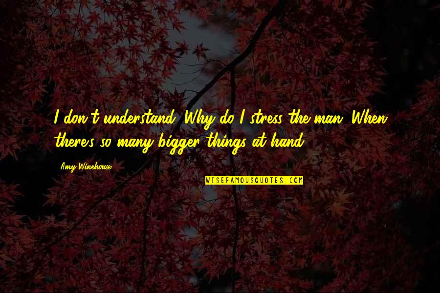 Stress Over No Man Quotes By Amy Winehouse: I don't understand, Why do I stress the