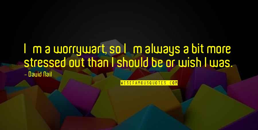 Stressed Out Quotes By David Nail: I'm a worrywart, so I'm always a bit