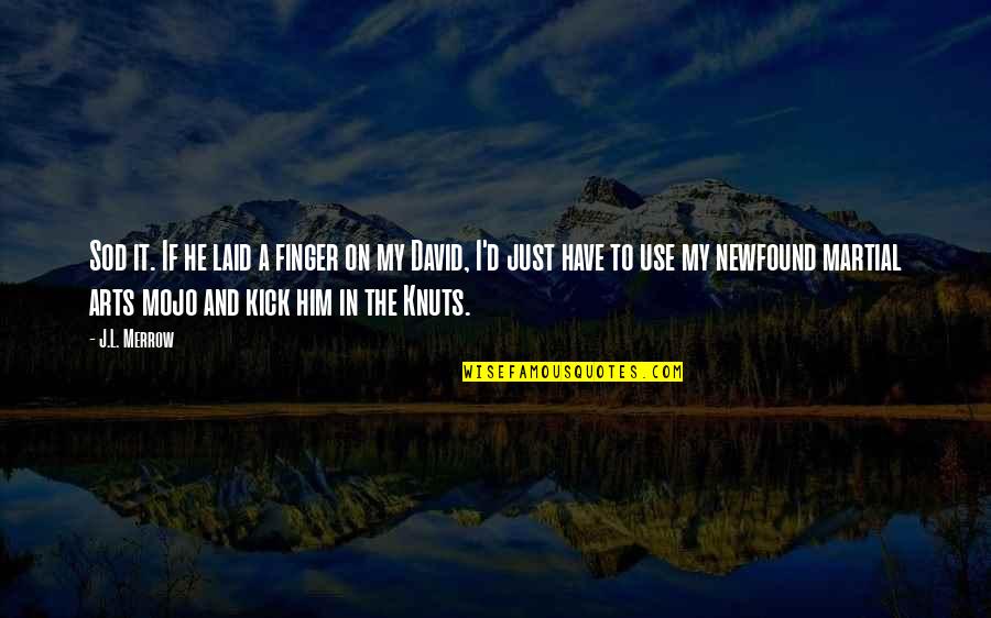 Stressfully Organizing Quotes By J.L. Merrow: Sod it. If he laid a finger on Stressfully Organizing Quotes By J.L. Merrow: Sod it. If he laid a finger on