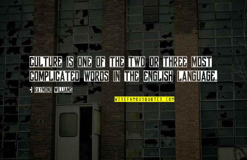 Stressors Quotes By Raymond Williams: Culture is one of the two or three