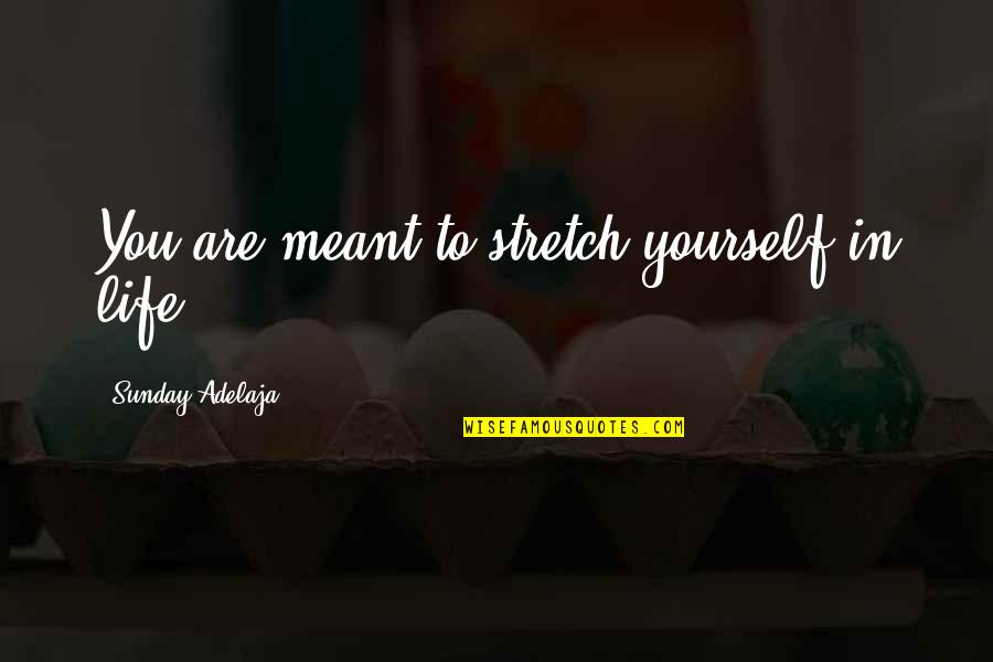 Stretch Yourself Quotes By Sunday Adelaja: You are meant to stretch yourself in life.