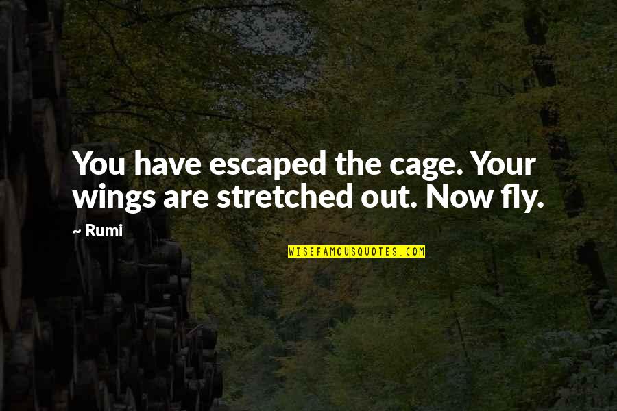 Stretched Quotes By Rumi: You have escaped the cage. Your wings are