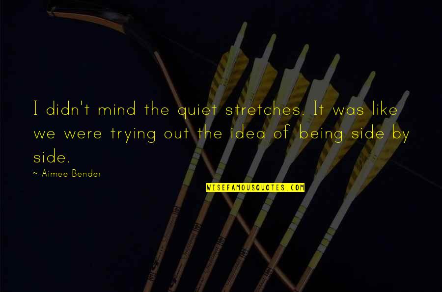 Stretches Quotes By Aimee Bender: I didn't mind the quiet stretches. It was