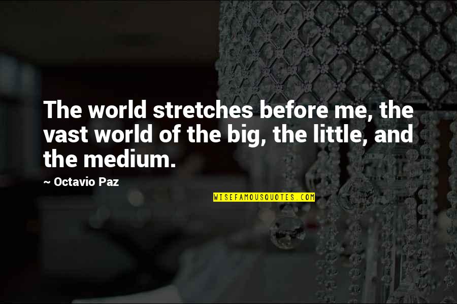 Stretches Quotes By Octavio Paz: The world stretches before me, the vast world