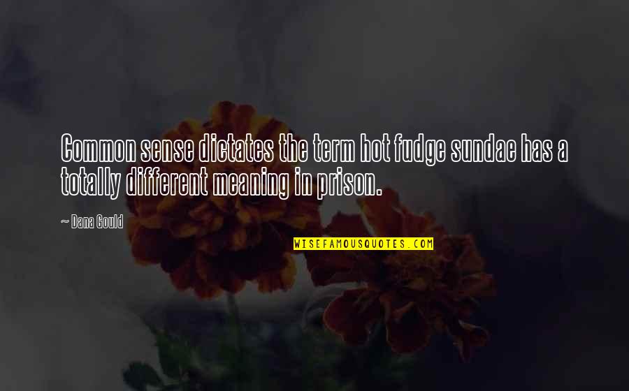 Stretching Boundaries Quotes By Dana Gould: Common sense dictates the term hot fudge sundae