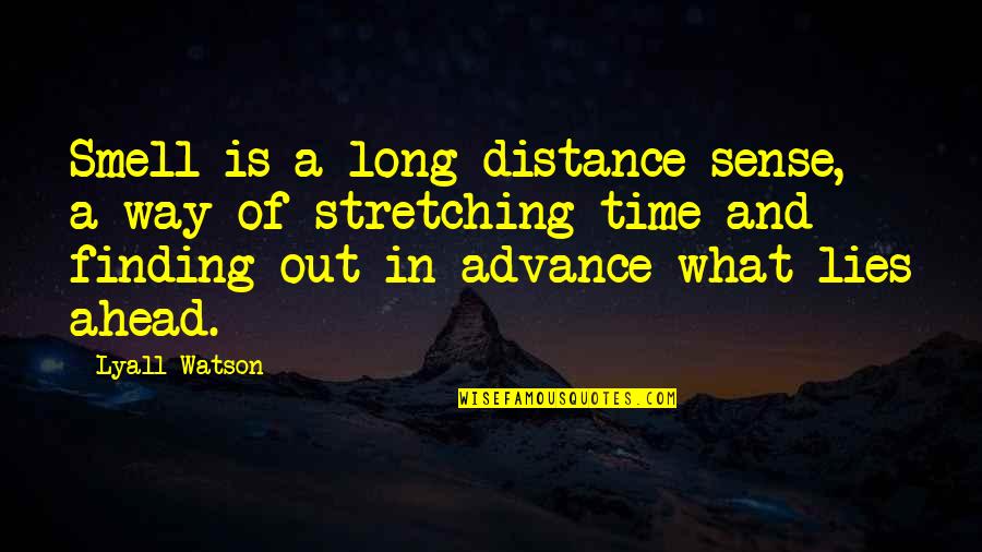 Stretching Out Quotes By Lyall Watson: Smell is a long-distance sense, a way of