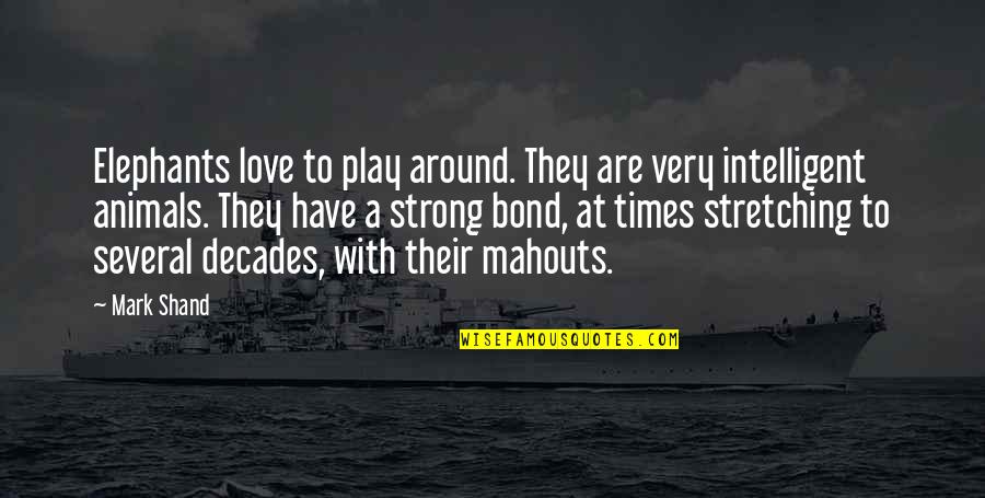 Stretching Out Quotes By Mark Shand: Elephants love to play around. They are very