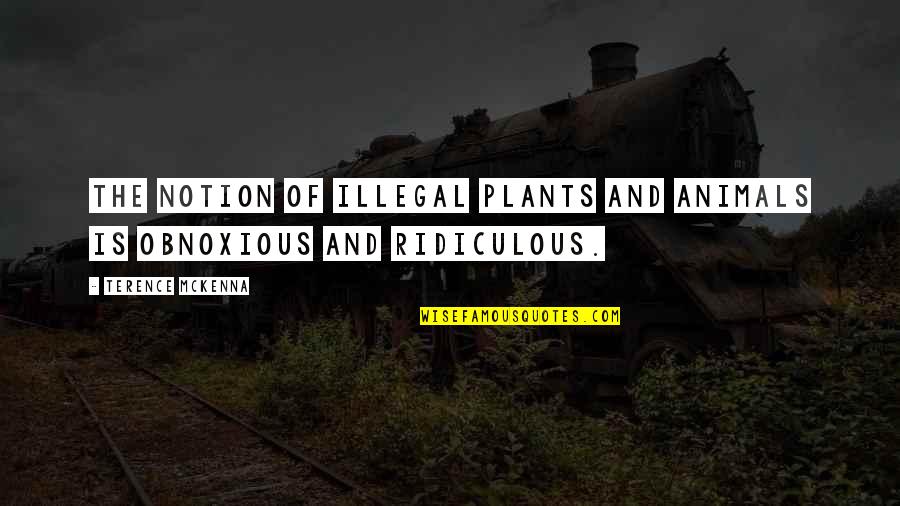Striders Shoes Quotes By Terence McKenna: The notion of illegal plants and animals is