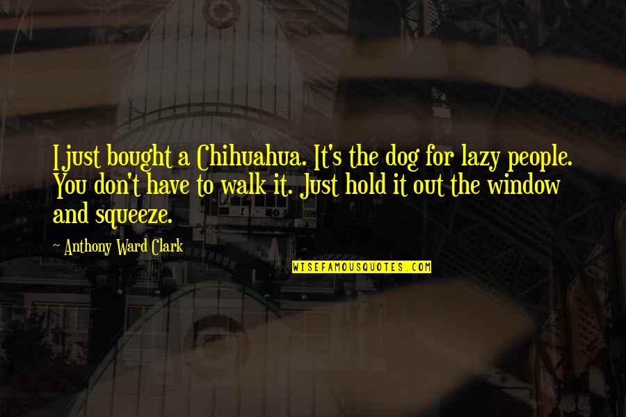 Striffler Hamby Funeral Home Quotes By Anthony Ward Clark: I just bought a Chihuahua. It's the dog Striffler Hamby Funeral Home Quotes By Anthony Ward Clark: I just bought a Chihuahua. It's the dog