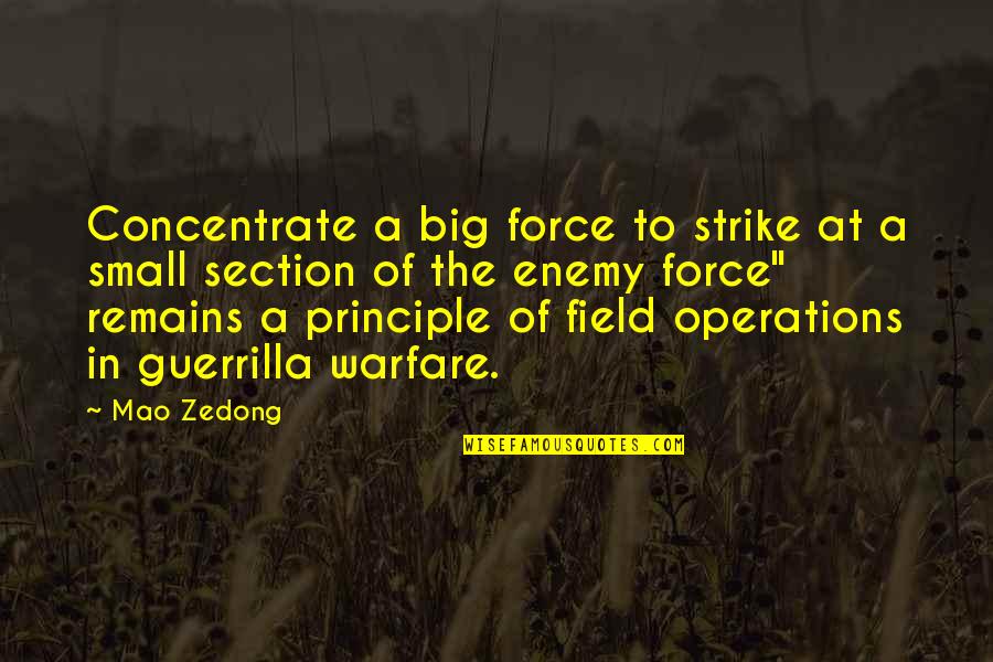 Strike Force Quotes By Mao Zedong: Concentrate a big force to strike at a Strike Force Quotes By Mao Zedong: Concentrate a big force to strike at a