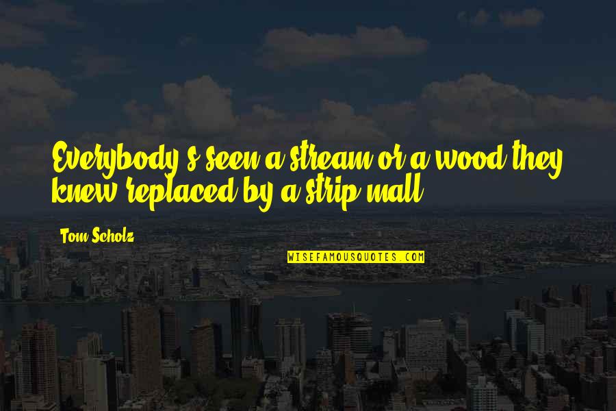 Strip Mall Quotes By Tom Scholz: Everybody's seen a stream or a wood they