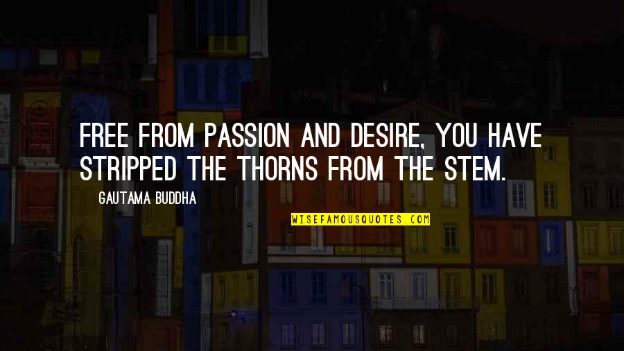Stripped Quotes By Gautama Buddha: Free from passion and desire, you have stripped