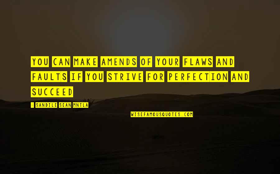 Strive For Perfection Quotes By Sandile Sean Mntla: You can make amends of your flaws and