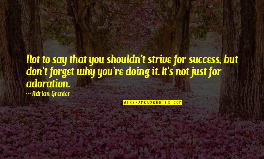 Strive For Success Quotes By Adrian Grenier: Not to say that you shouldn't strive for