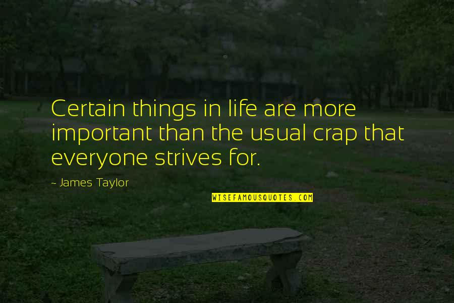 Strives Quotes By James Taylor: Certain things in life are more important than Strives Quotes By James Taylor: Certain things in life are more important than