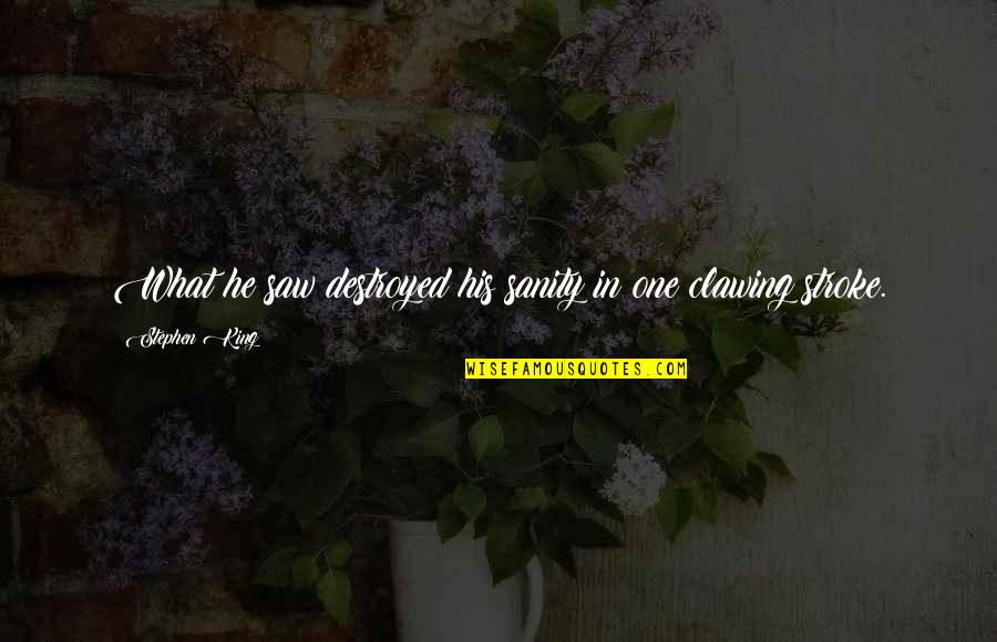 Stroke Quotes By Stephen King: What he saw destroyed his sanity in one