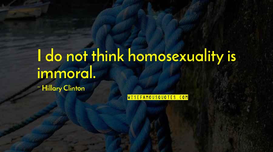 Strolleria Quotes By Hillary Clinton: I do not think homosexuality is immoral.