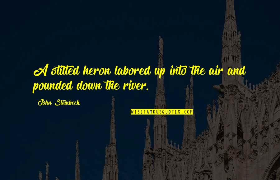 Stromy A Jejich Quotes By John Steinbeck: A stilted heron labored up into the air Stromy A Jejich Quotes By John Steinbeck: A stilted heron labored up into the air