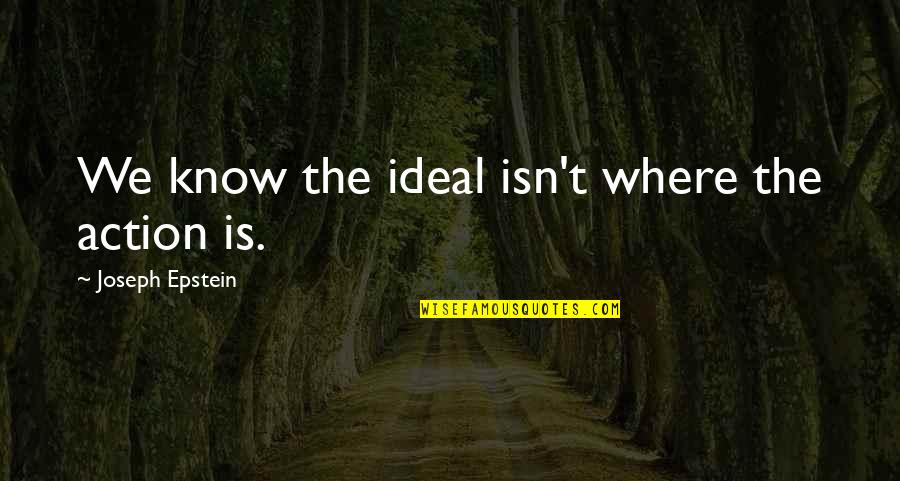 Strong And Flexible Quotes By Joseph Epstein: We know the ideal isn't where the action