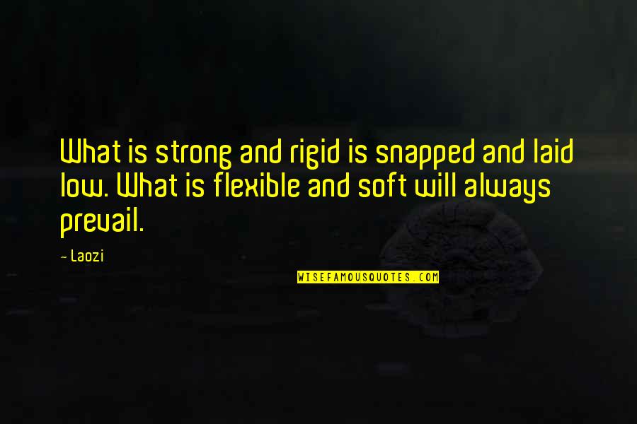 Strong And Flexible Quotes By Laozi: What is strong and rigid is snapped and
